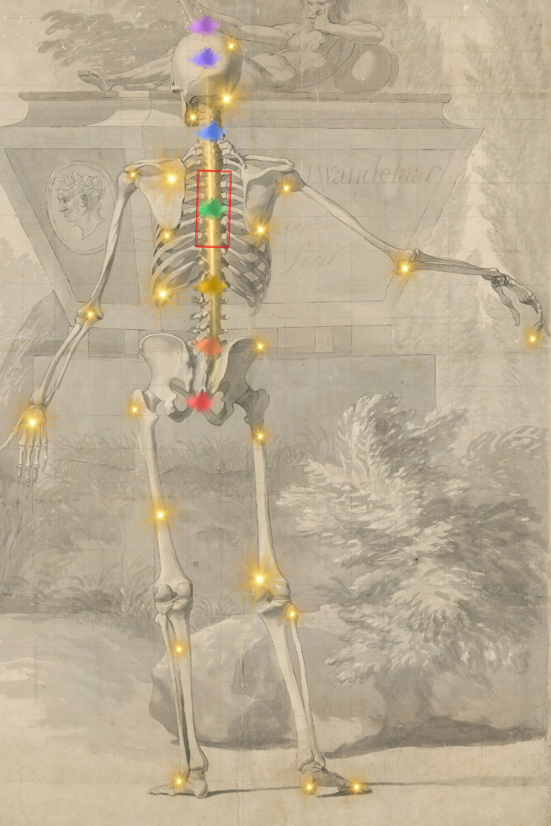 Skeleton Chakra Image