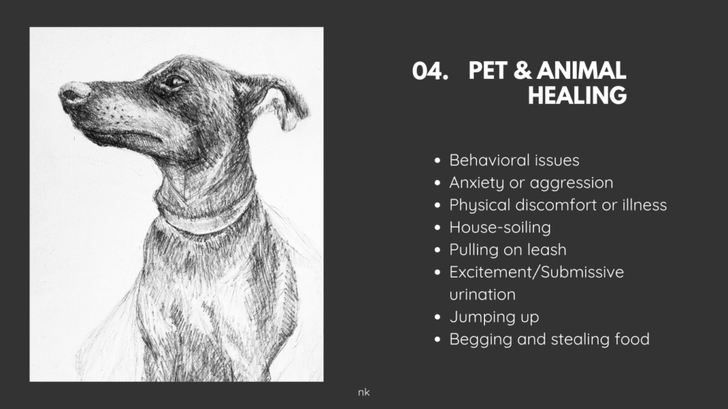 04._Pet and Animal Healing