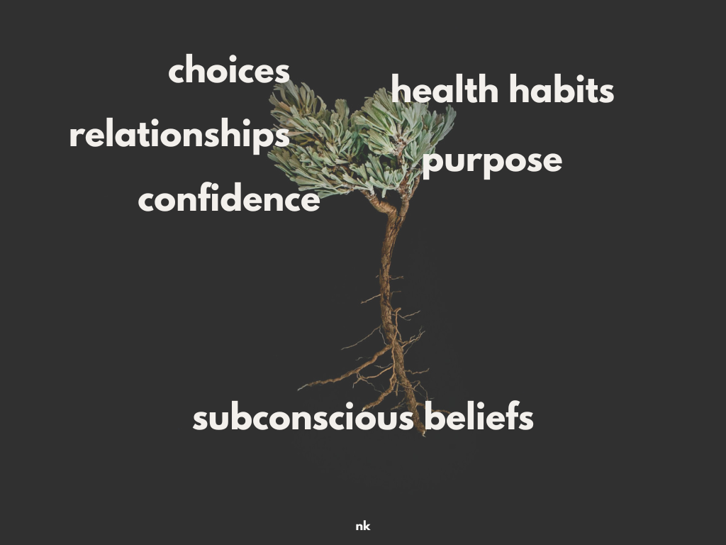 A tree with roots labeled “subconscious beliefs” and branches representing choices, relationships, confidence, health habits, and purpose.