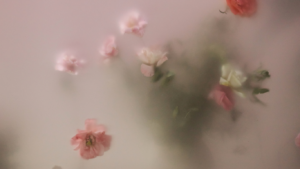 More Than One Way to Heal Featured Image with faded pink flowers.